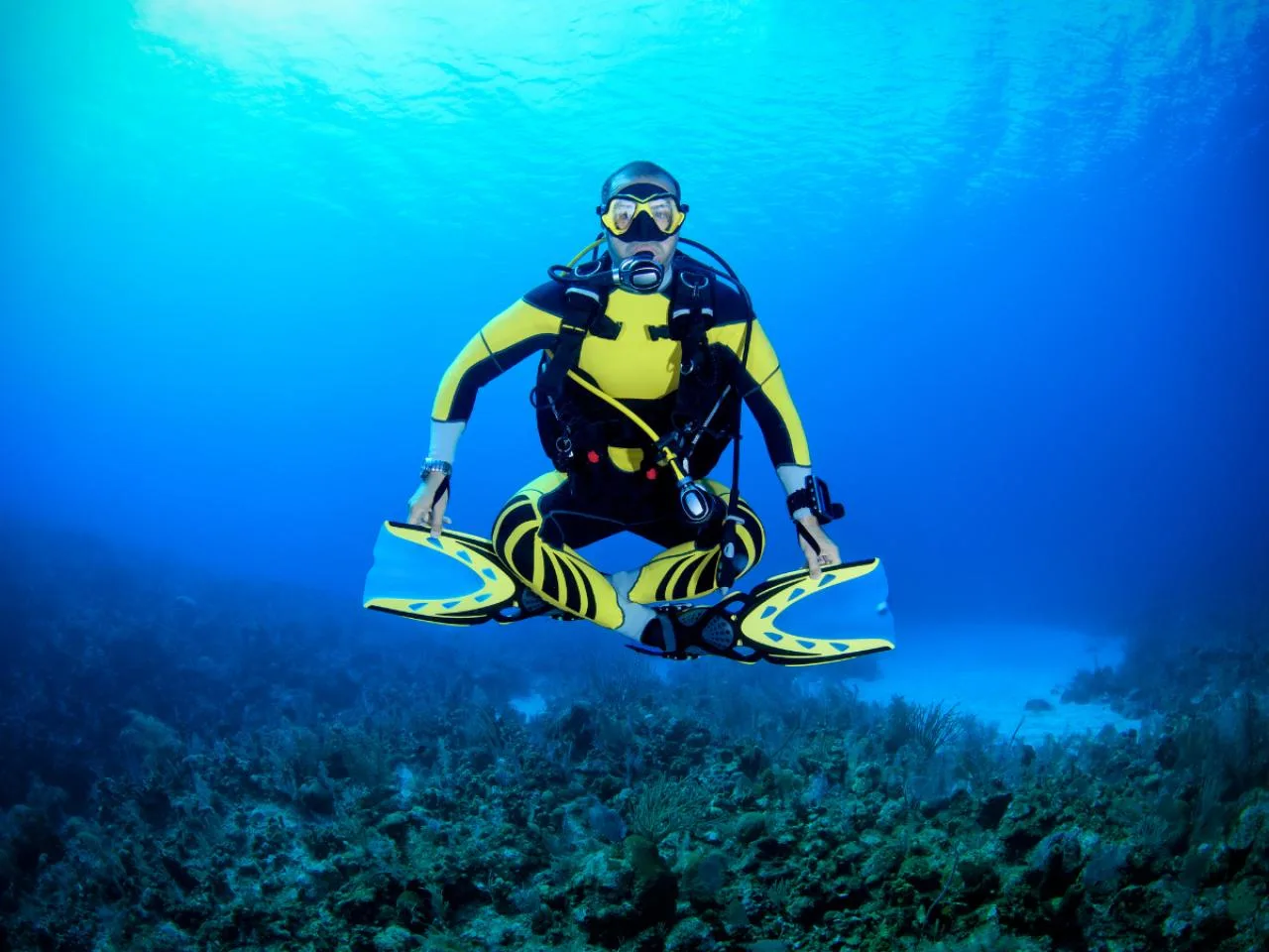 5 Double Dives (Twin tank) Packages in Mahé, Island