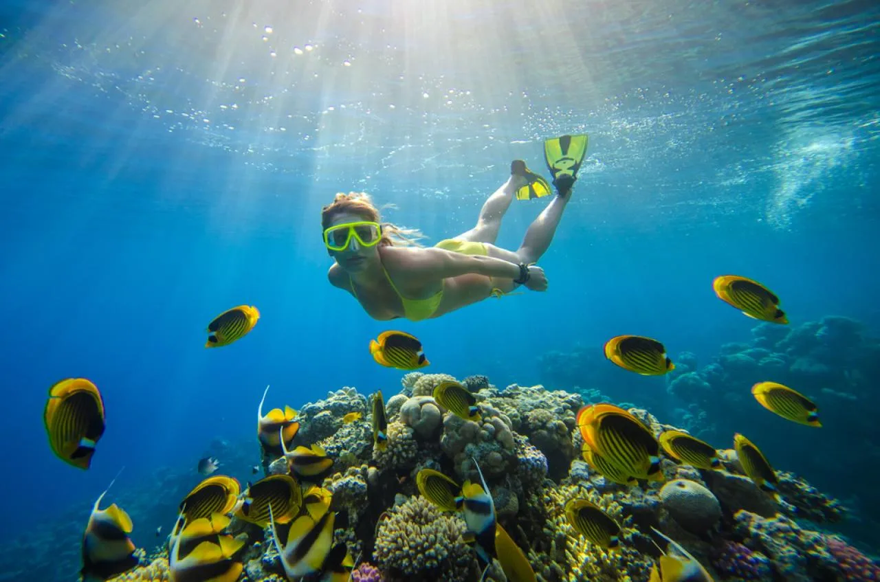 Tour in barca di mezza giornata alle isole Coco e Félicité da La Digue