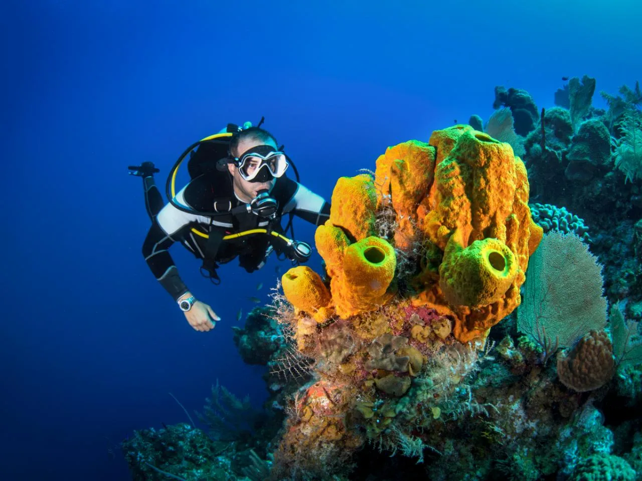 2-tägiger PADI-Rescue-Diver-Kurs auf Mahé inkl. Flasche, Luft und Bleigewichten