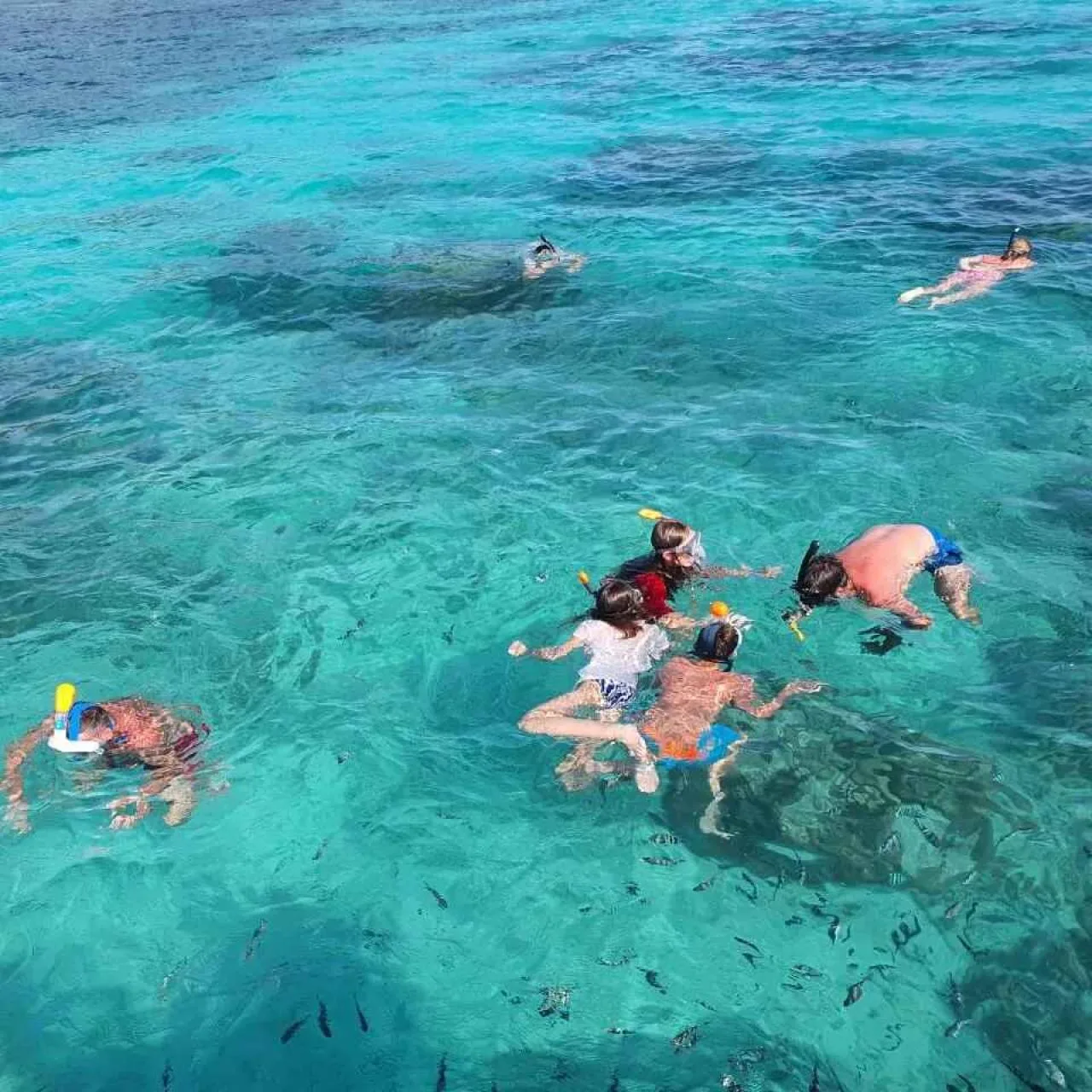 Tour in barca dal fondo di vetro e kayak trasparente con snorkeling nel parco marino di Sainte-Anne