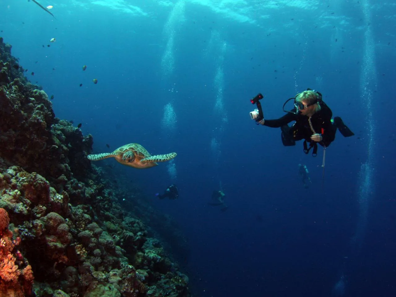 Introductieduik voor beginners op Mahé, Seychellen