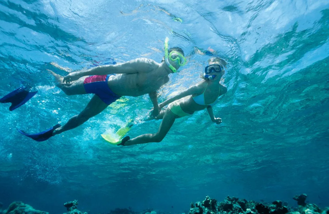 Eastern Catamaran Tour: Waterfall & Snorkeling with family vehicle
