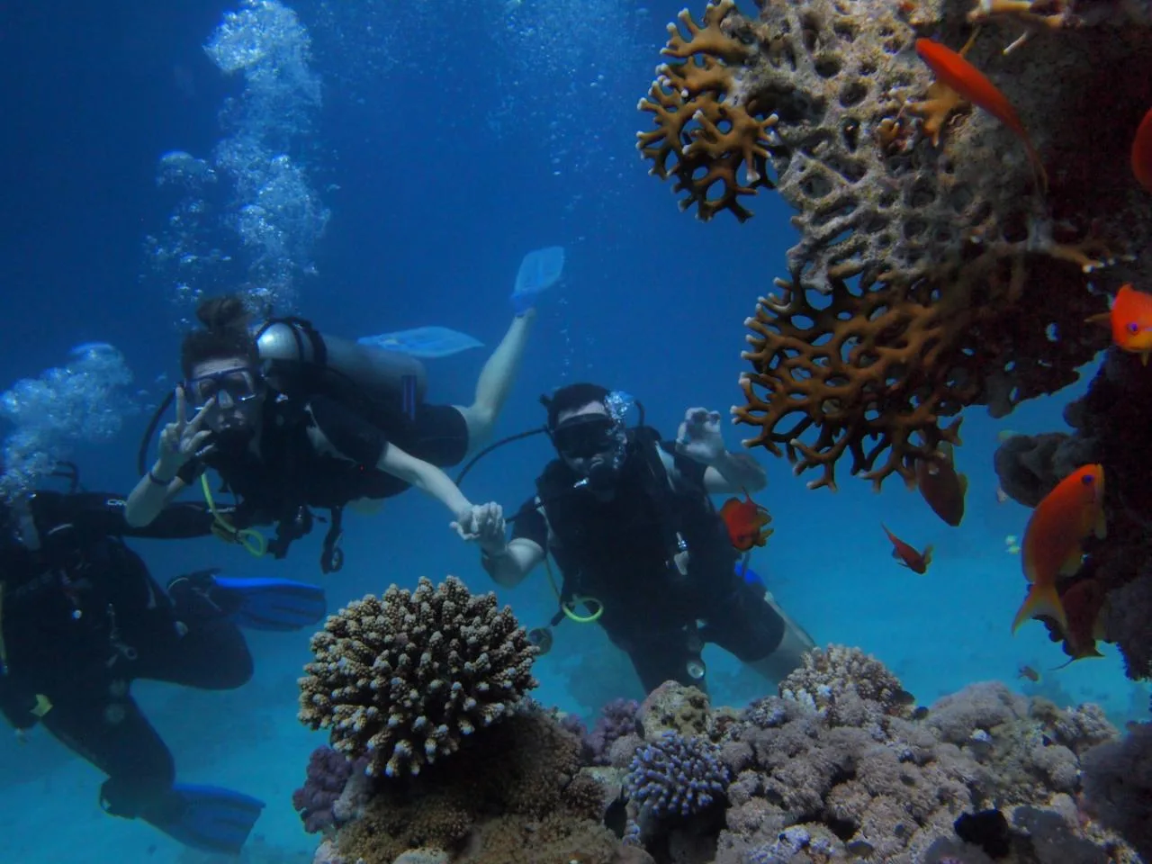 2-Day PADI Open Dive Course in Mahe incl. Equipment Rental
