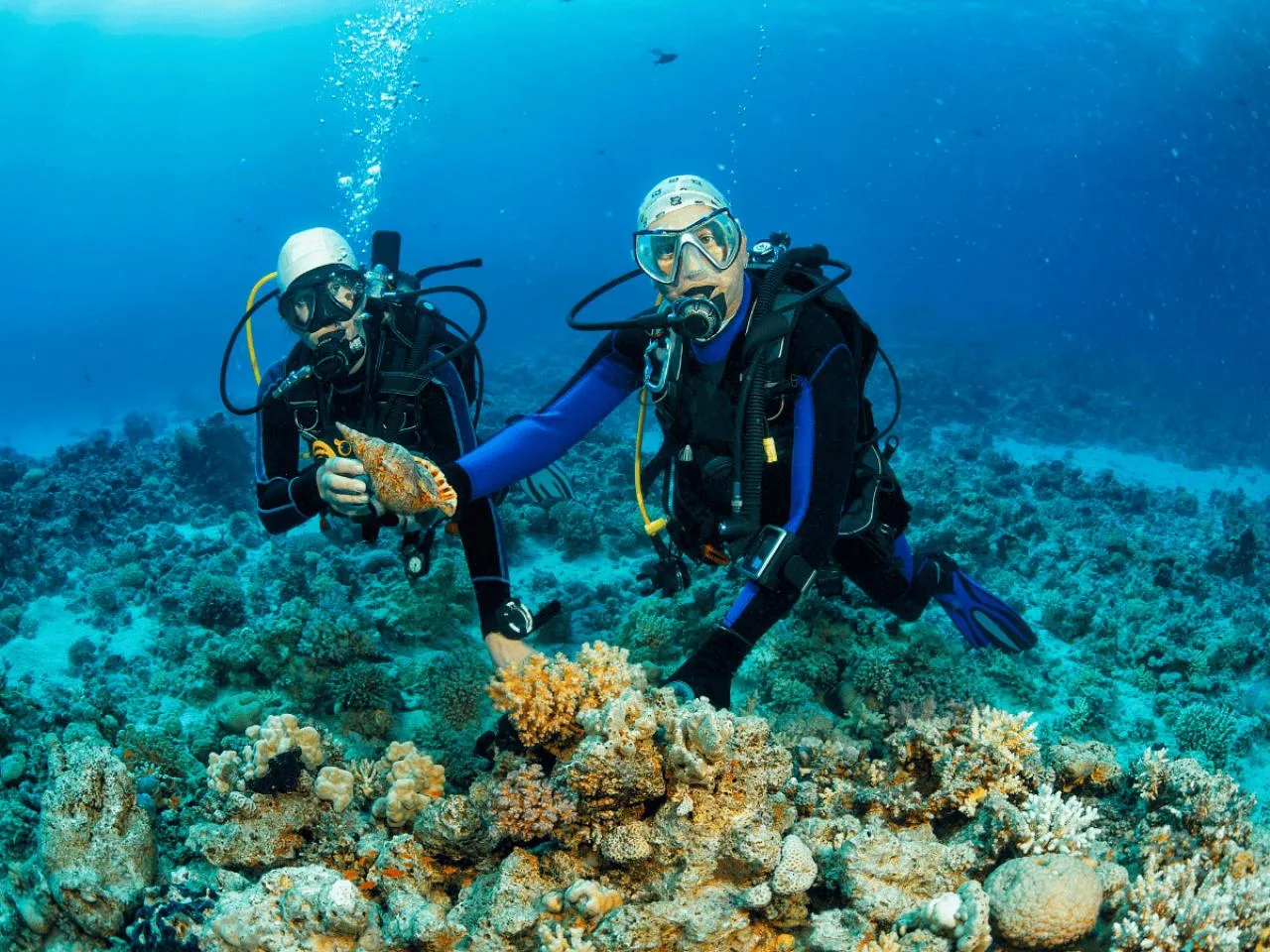 5-Dive PADI Adventure Course incl. Equipment Rental in Mahé