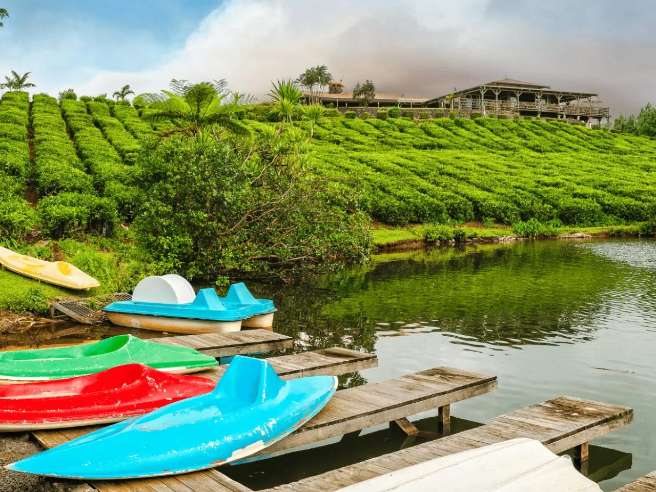 Attractions du sud de l'île Maurice avec parc à crocodiles