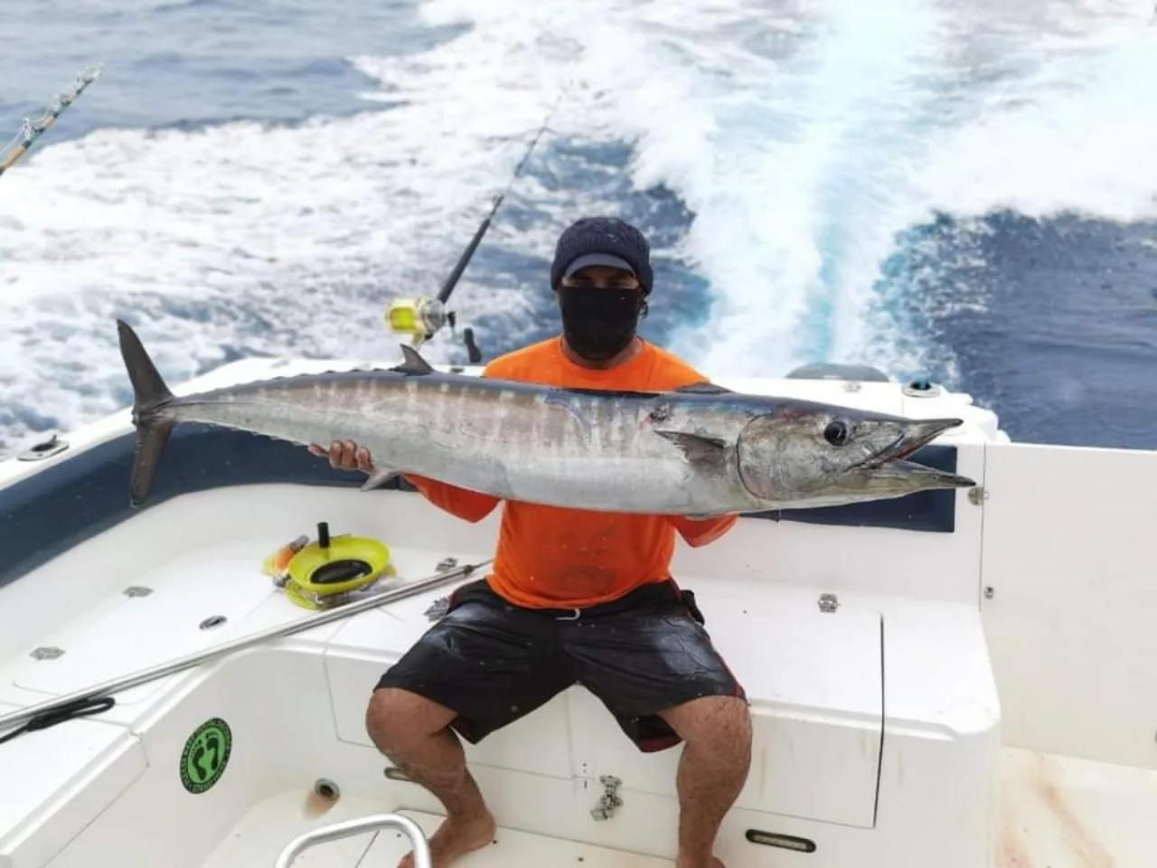 Pesca privada de dia inteiro com churrasco da pesca do dia (barco pequeno)