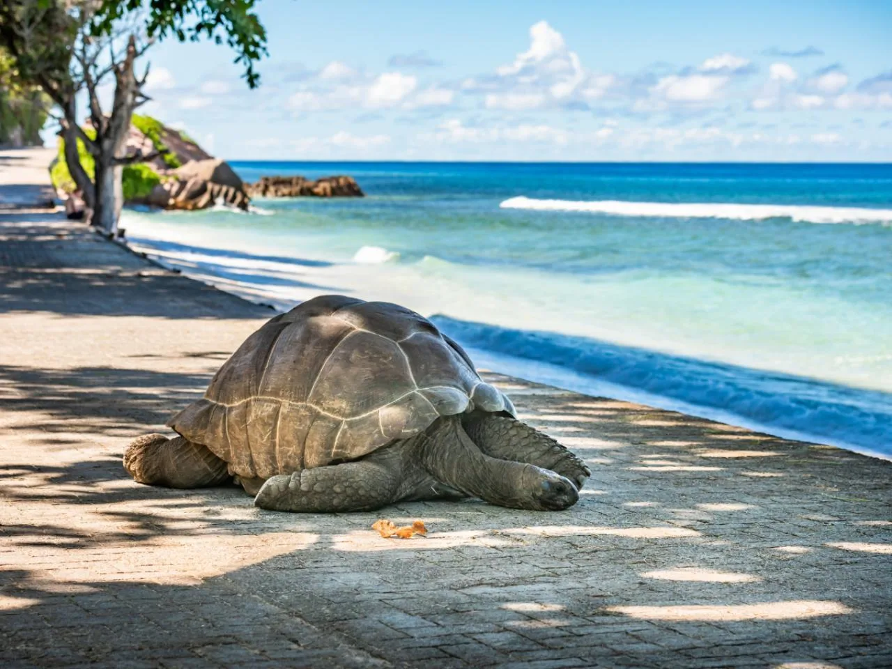 Gita di un giorno da Praslin a La Digue